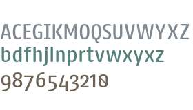 FF Kaytek Rounded Medium