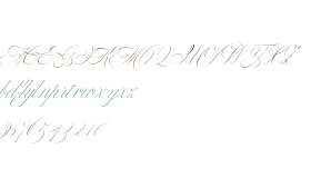 Bustra Script Pro Light