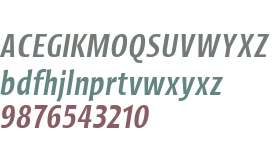 Picador Sans Test Medium Italic