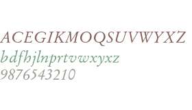 Stempel Garamond LT Pro Italic