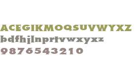 Metra Serif W01 Xtra Bold