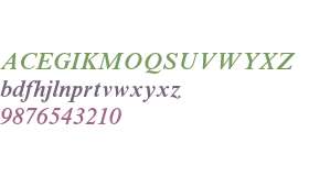 Times New Roman Semi Bold Italic