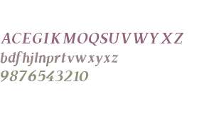 TS-Chapinero Serif Medium Italic