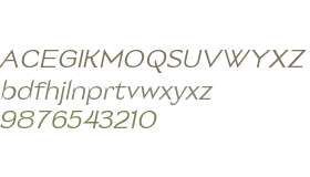 MTC Bragilest Slant