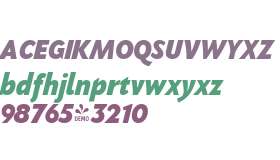 FSP DEMO - PGF-Now Black Italic