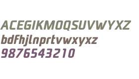 Unicod Sans W01 Bold Italic