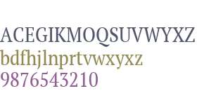 PT Serif W01 Narrow Regular