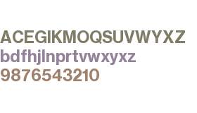 HaasGrot Text R 75 Bd Trial
