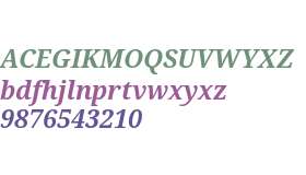 Noto Serif Bold Italic V1