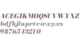 Bodoni* 16 Fatface Italic