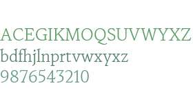 NaN Druid-TRIAL Light