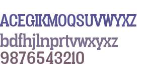 Vacer Serif Personal