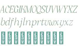 Rogik Thin Italic
