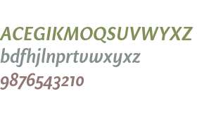 Sharik Sans SemiBold Italic