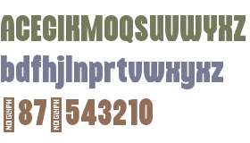 NEARING Black Demo_1