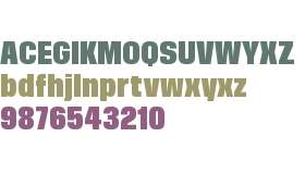 Correct Trial Condensed Black