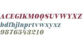 Royalis Text Test Bold Oblique