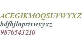 NimbusRomNo9T Bold Italic