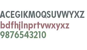 Gosh Trial Bold Condensed