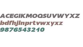 Mensa Expanded W01 Bold Italic