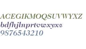 ITC Caslon 224 W03 Bold Italic