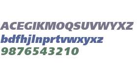 FreeSetExtraBold Italic W08 Rg