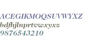 ITC Caslon No.224 Bold Italic