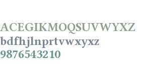 Libertinus Serif Bold