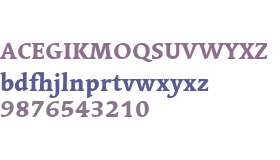 Linotype Syntax Serif W01 Heavy