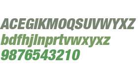 Helvetica Neue LTW0197BlkCnObl