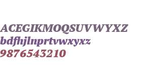 PT Serif W01 Black Italic