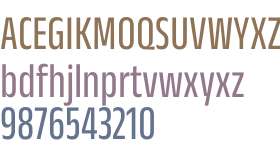 Anek Kannada Condensed