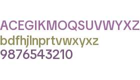 TikTok Display Medium