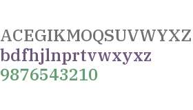 IBM Plex Serif Medium