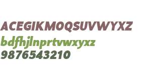 Proda Sans Black Italic