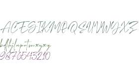 Mercedes Signature