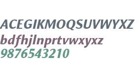 Orbi Sans W01 Black Italic
