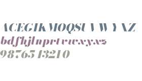 Bodoni* 96 Fatface Italic