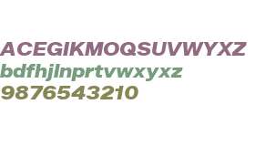 Zalando Sans SemiExpanded Black