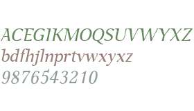 P22 Foxtrot Sans W01 Italic