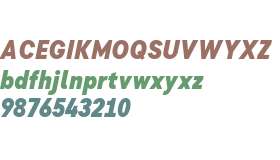 Flink Neue Text Cmp Test Black