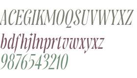 Mirtha Display Trial