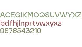 Heveria Medium-Trial