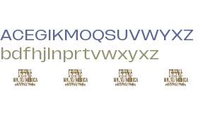 Merica Grotesk PERSONAL USE Light