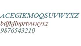 Times New Roman* 421 MONOTYPE Semi Bold Italic