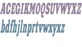 PT XeniaWestern Italic Cyrillic