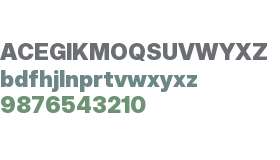 Raveo Display Display Black