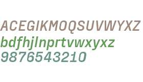 PP Fraktion Sans Italic