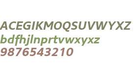 Core Sans N W01 65 Bold Italic