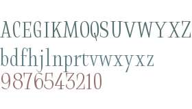 Halibut Serif Condensed